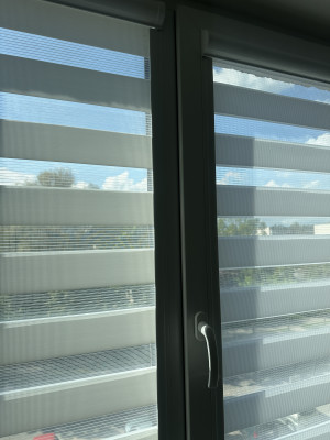 IMG_9302.jpeg