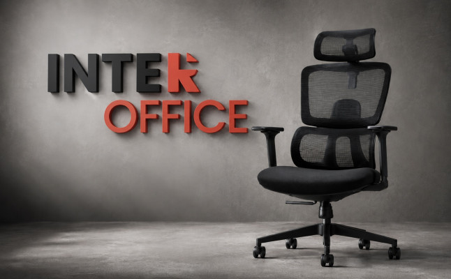 Ergonominė biuro kėdė „InterOffice“ darbui prie kompiuterio